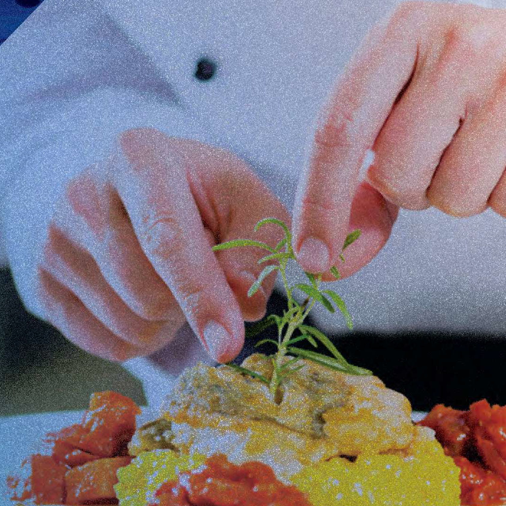 gastronomia2